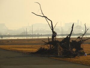 基地から見た被災地。